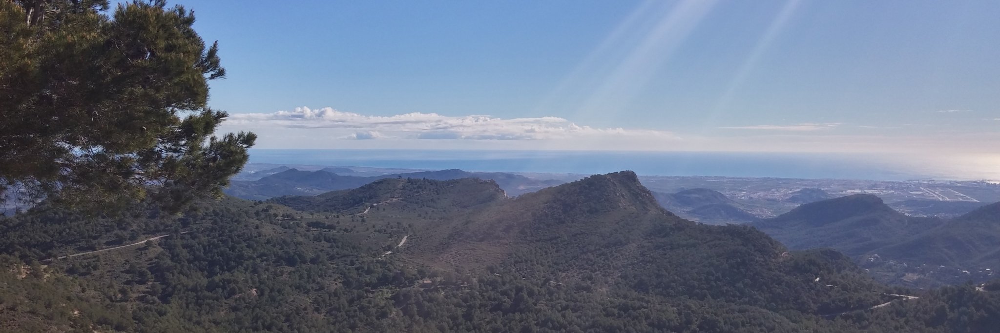 Diego Martinez x 2 banner