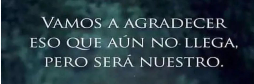 Sandra Barrera banner