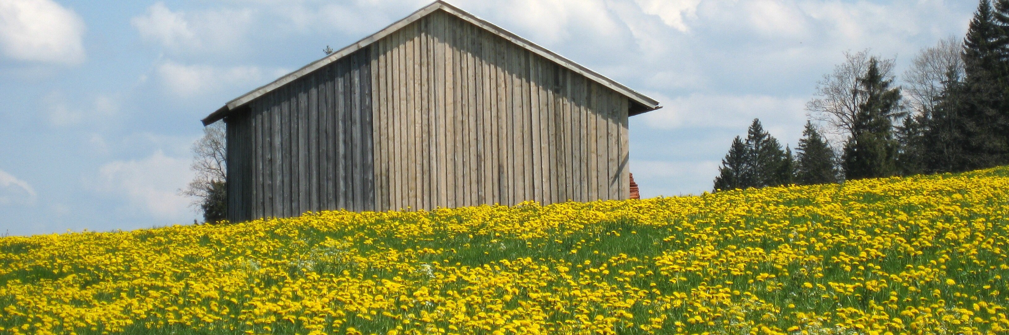 visitingeu's profile banner image