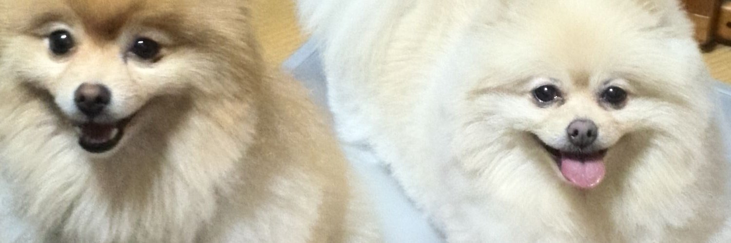 samuri332's profile banner image
