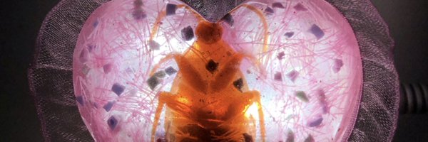 Meeeeeeeeeeh_ Profile Banner