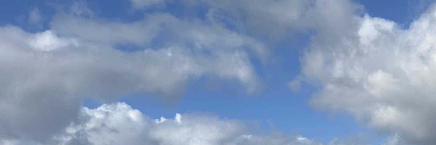 L3nnartF's profile banner image
