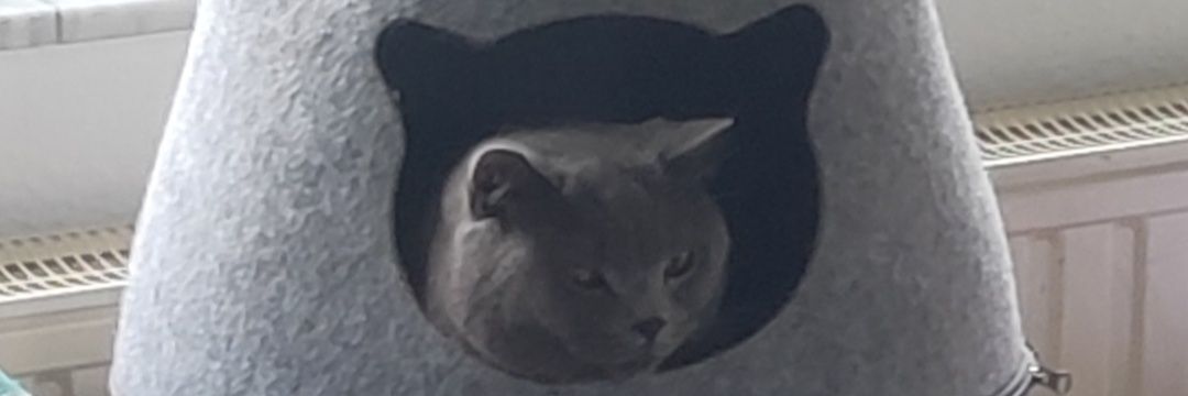 babek67's profile banner image