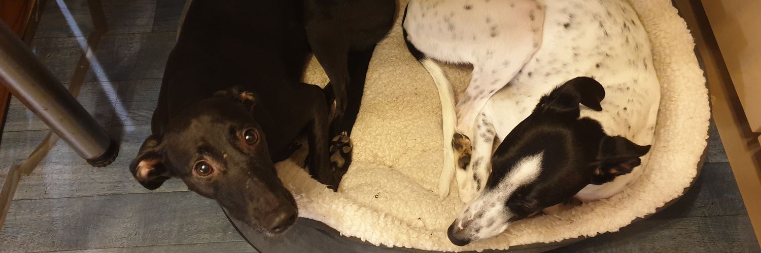 John MacInnes banner