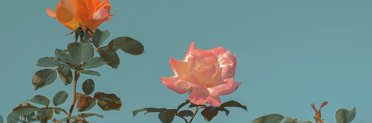 Marssir60's profile banner image