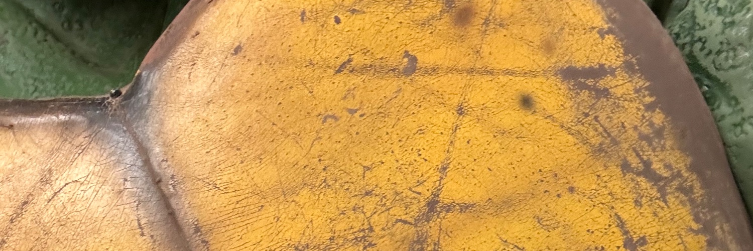 smokesmitty's profile banner image