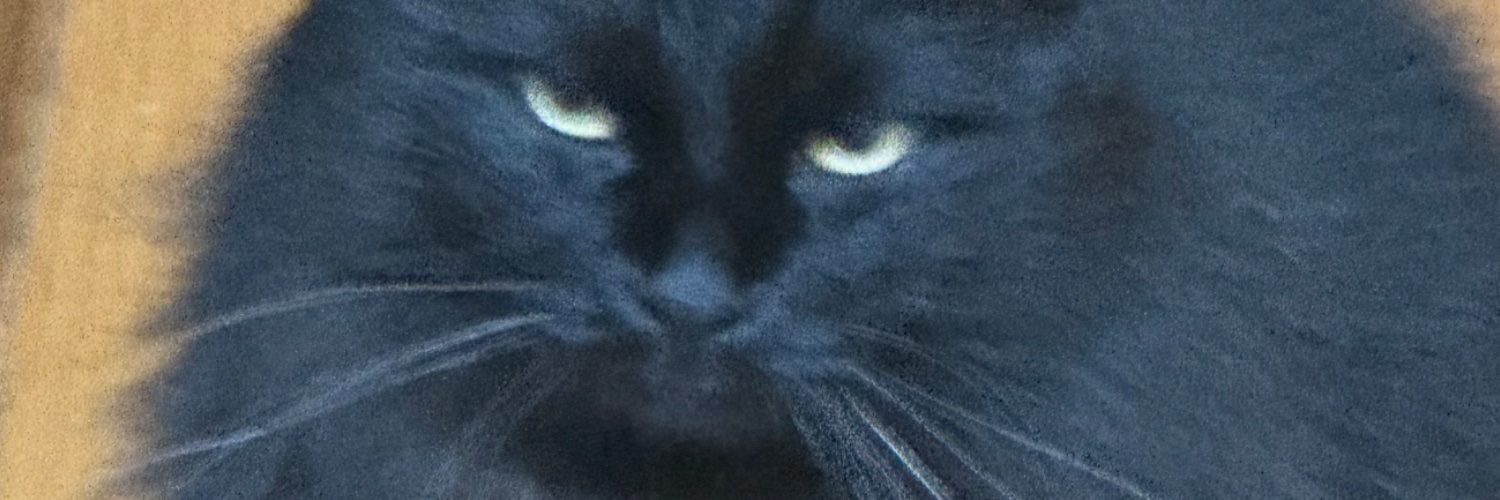 frorynyo3's profile banner image