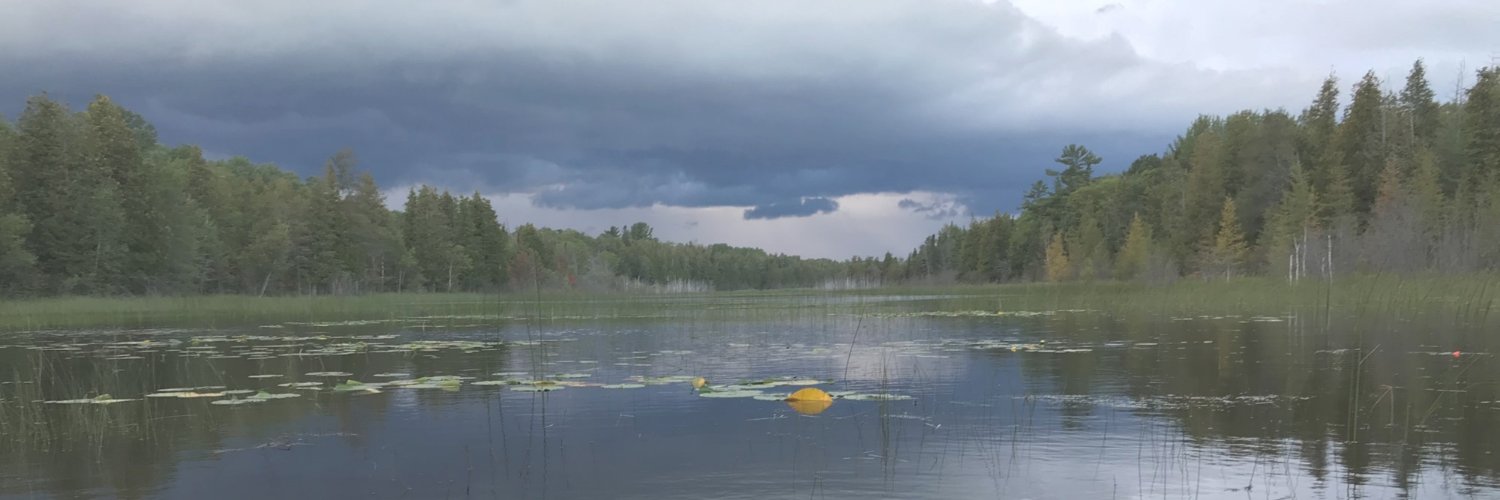 Duckweed47's profile banner image