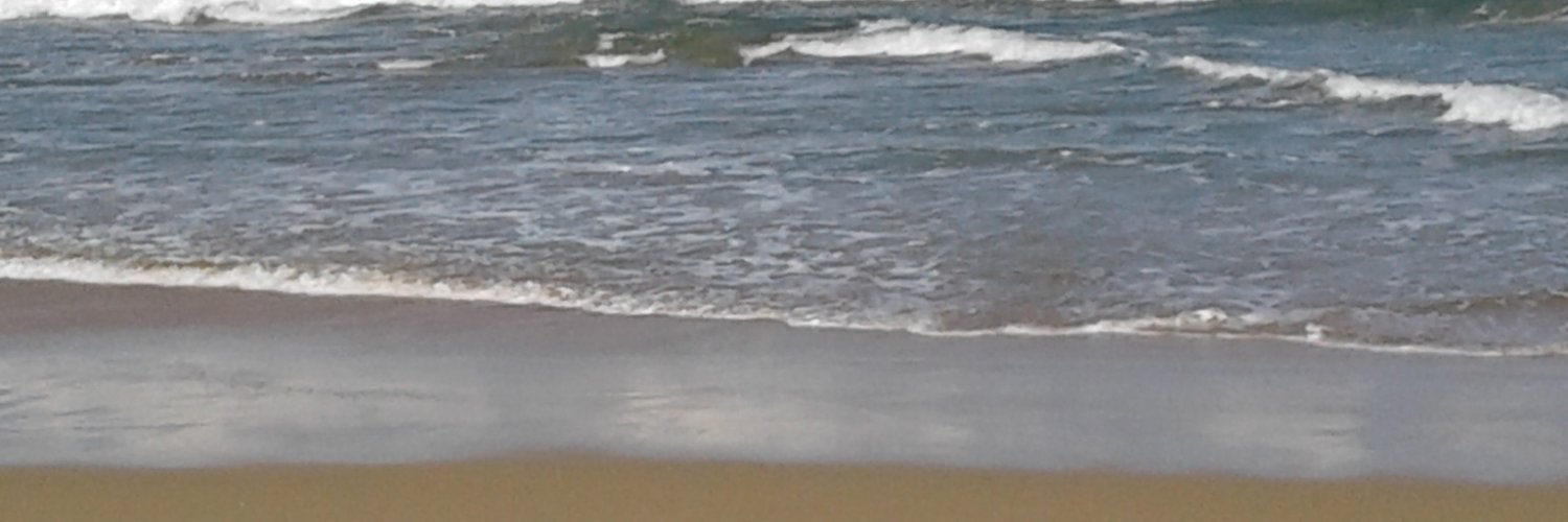 Mossleen's profile banner image