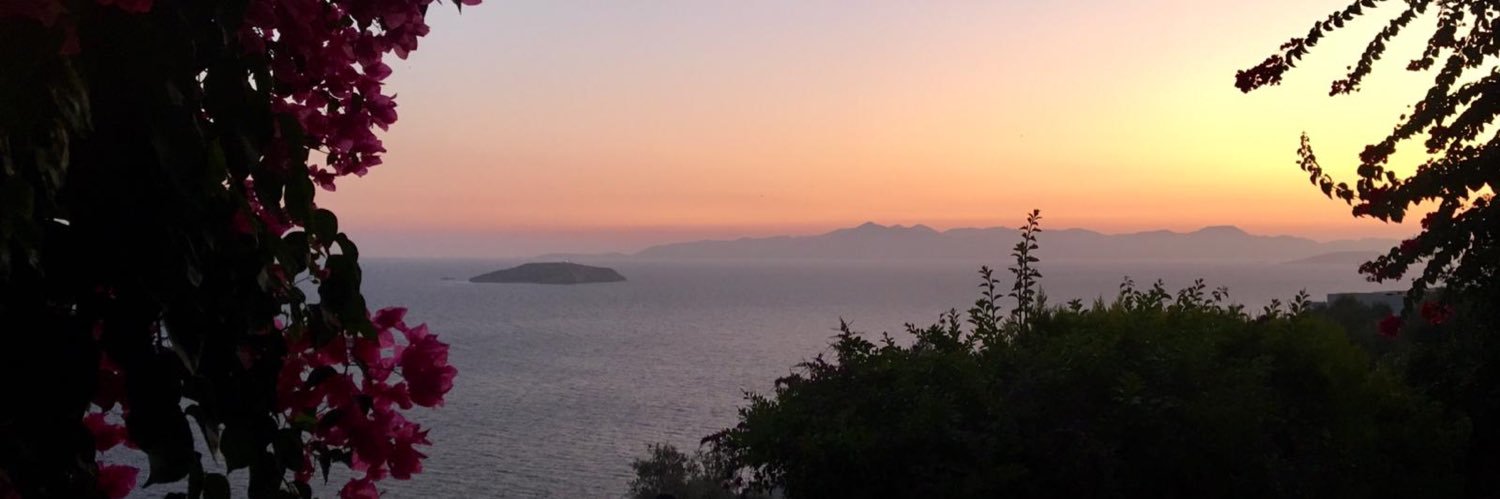 nugratuno's profile banner image