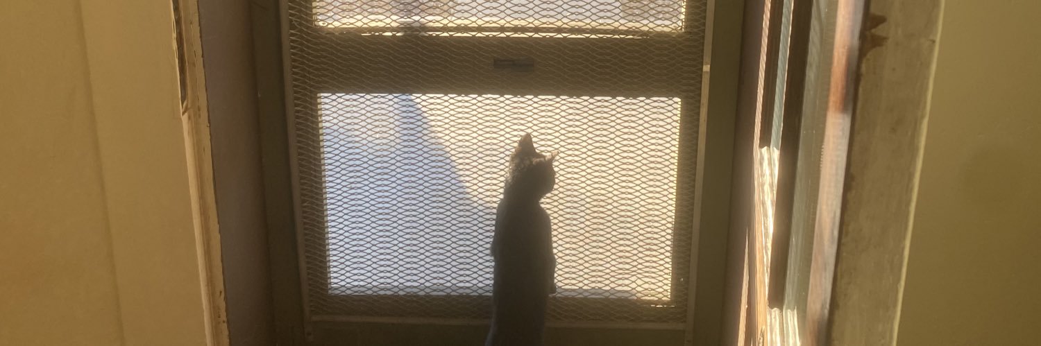 aliya782's profile banner image