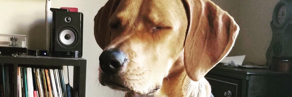 bhubbbs123's profile banner image
