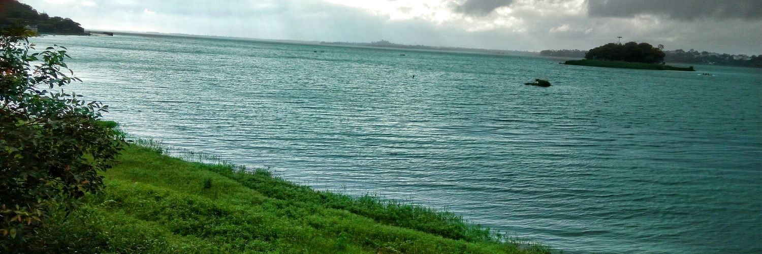 Sameer Carpenter banner