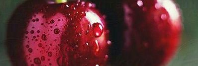 moon_ray111's profile banner image