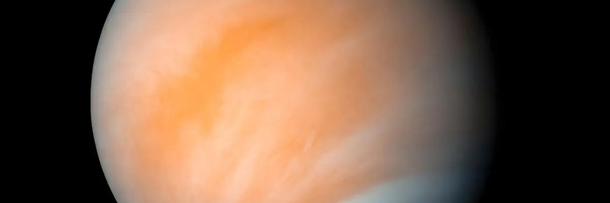 Qraal banner