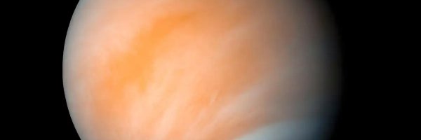 qraal Profile Banner