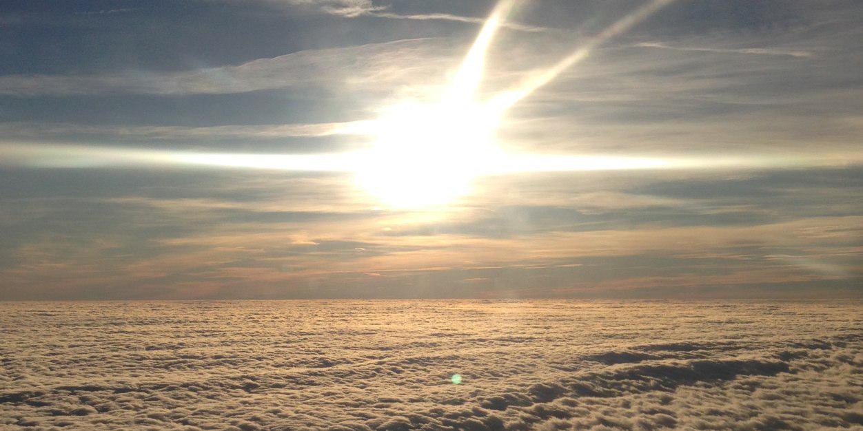 Paul Harrison banner