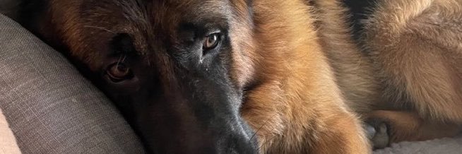 krystian008's profile banner image
