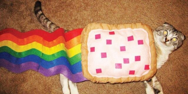 Butt_chicks's profile banner image