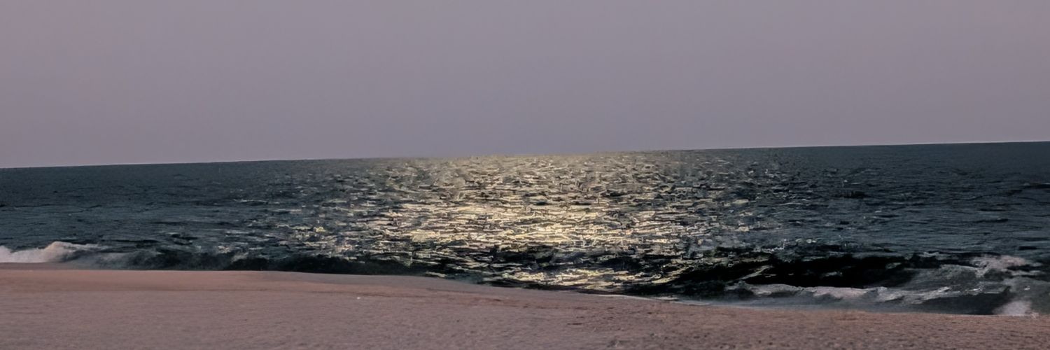 Adelle 🌊 banner