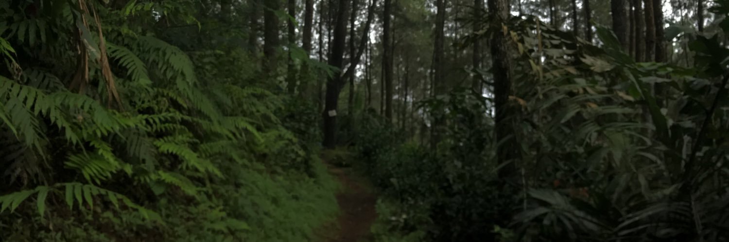 NugrohoRP's profile banner image