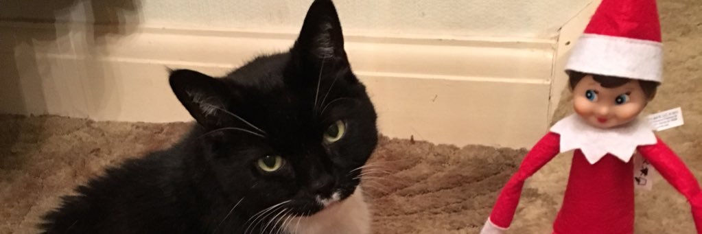 pwauly's profile banner image