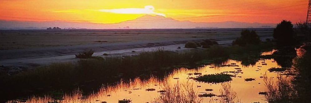 centralvalleyVine banner