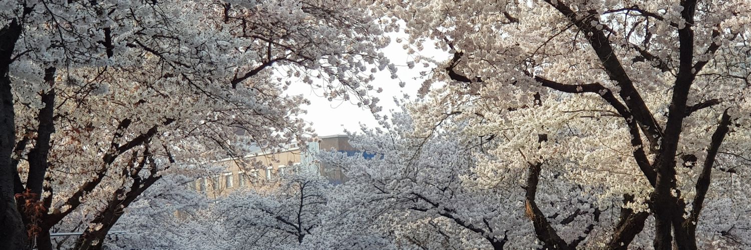 Biruk_TB's profile banner image