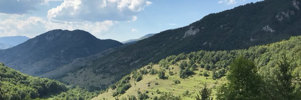 FlorenceBouchot Profile Banner