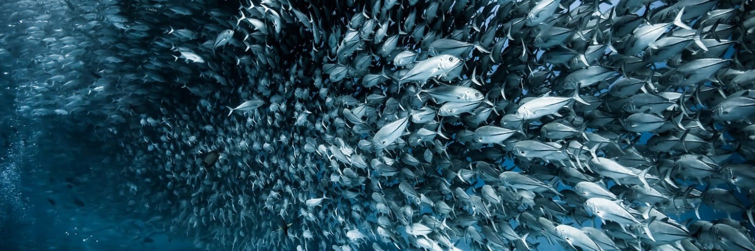 Maria Commerce banner