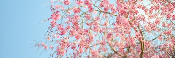 18 banner