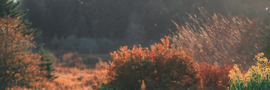 SkylarStrange's profile banner image