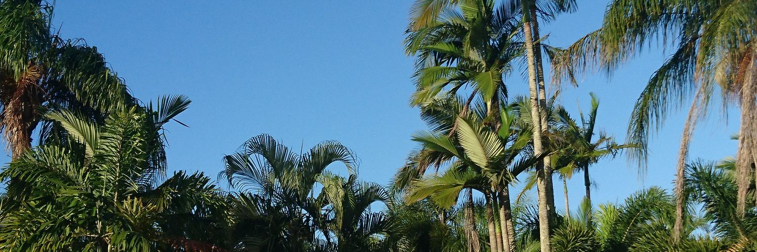 NiaBamsey's profile banner image