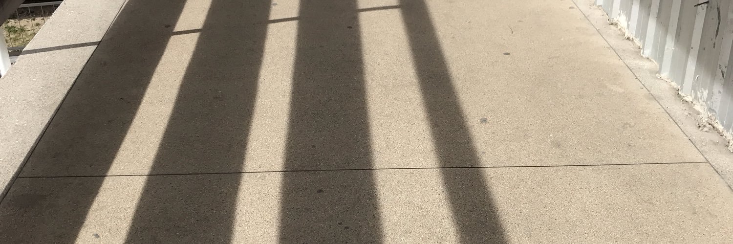 msfrogfog's profile banner image