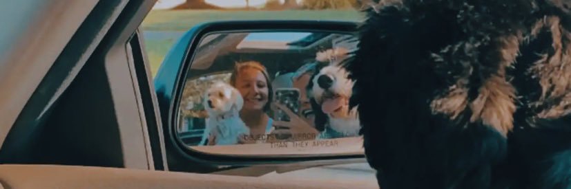 Lizzie Spalthoff banner