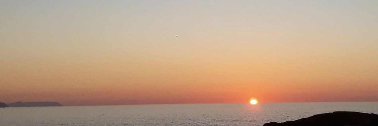 Ciaran Doherty banner