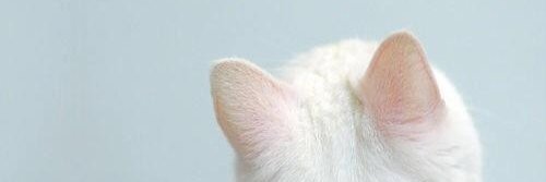 fxkryxtall's profile banner image