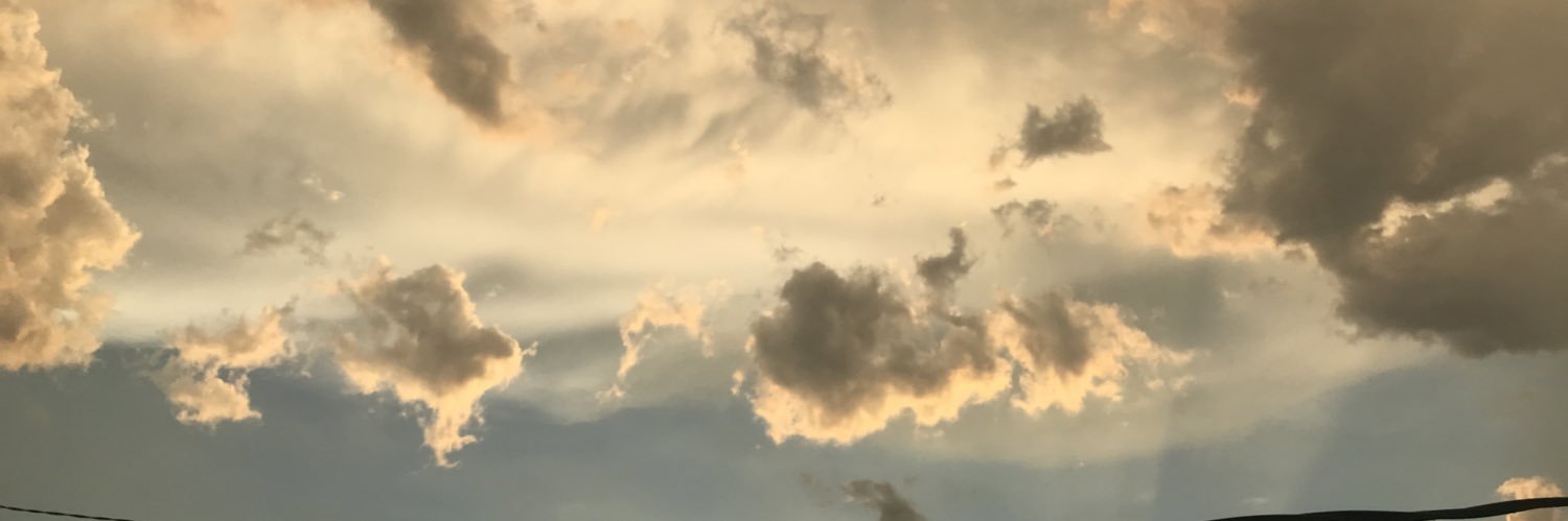 laralisondra's profile banner image