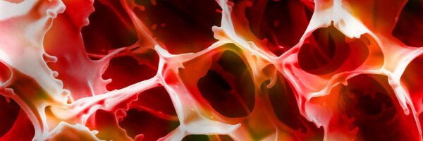 MicroscopyViews Profile Banner