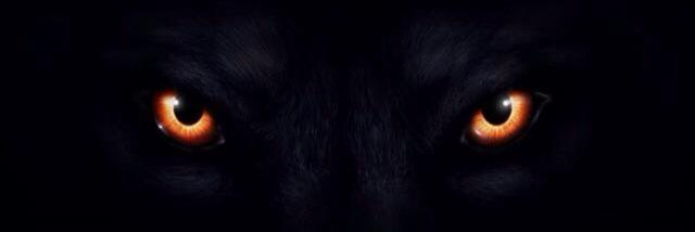 gzdeakin's profile banner image