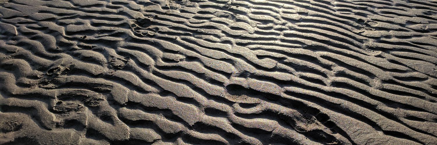 Gerardo I. Simari banner