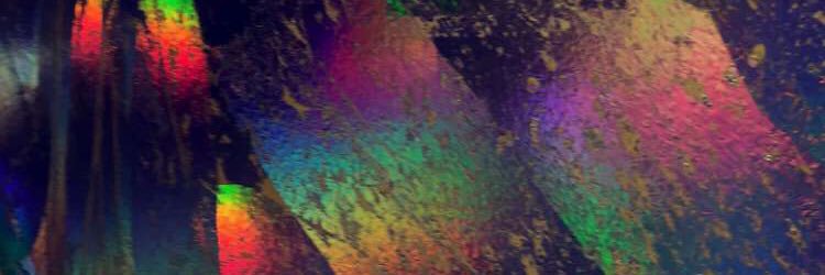 will_burkee's profile banner image