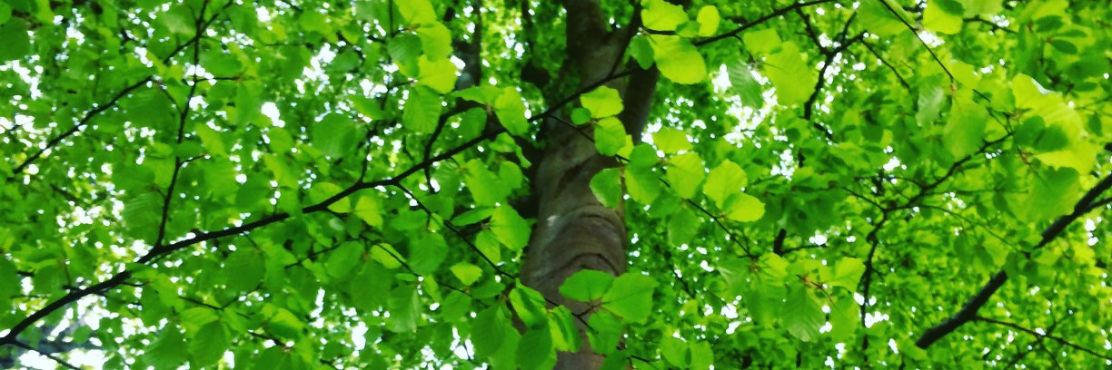 MetteSPersson's profile banner image