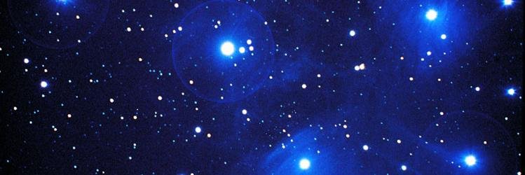 El mismísimo. El que viste y calza. banner