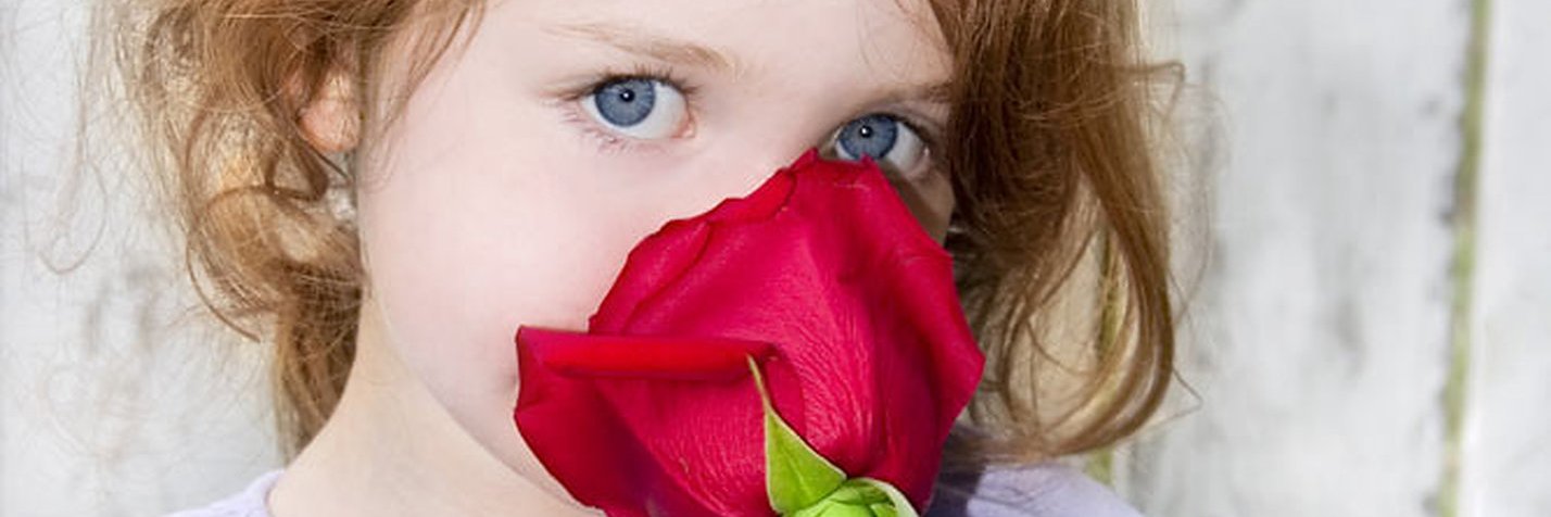 CRF111's profile banner image