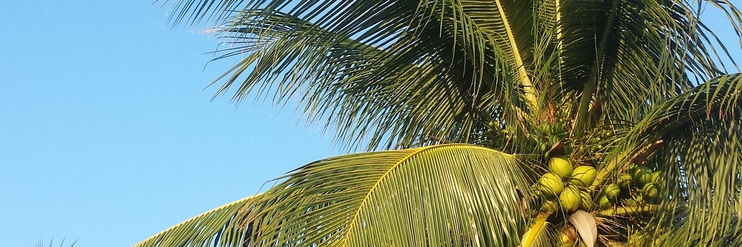 felipegaabriel_'s profile banner image