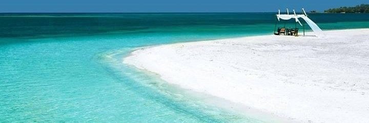 monicafede's profile banner image