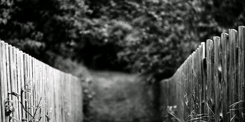 phbites's profile banner image