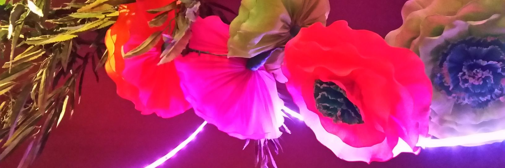zazzy_m's profile banner image