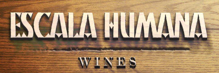 Germán Masera banner